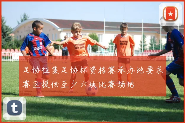 足协征集足协杯资格赛承办地要求赛区提供至少六块比赛场地