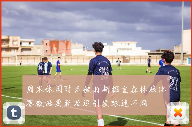 周末休闲时光被打断掘金森林狼比赛数据更新延迟引发球迷不满