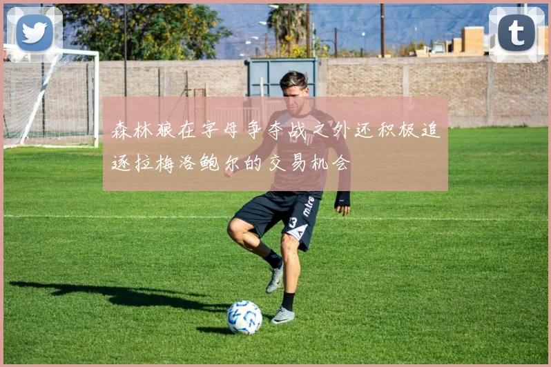 森林狼在字母争夺战之外还积极追逐拉梅洛鲍尔的交易机会